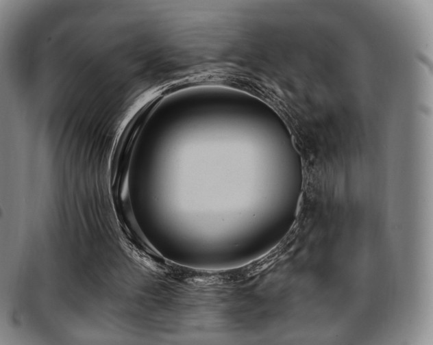 X0000097810100200803141127