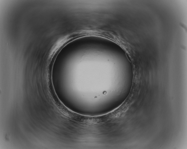 X0000097810103200803141127