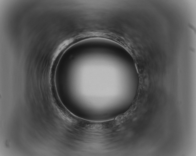 X0000097810104200803141127