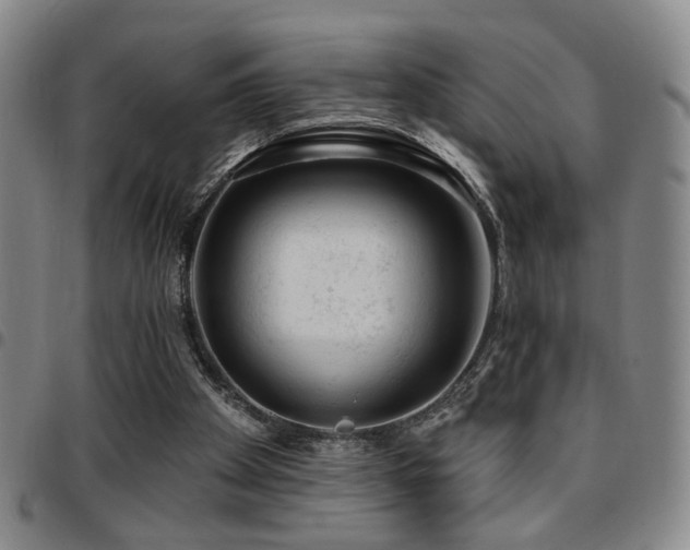 X0000097810105200803141127