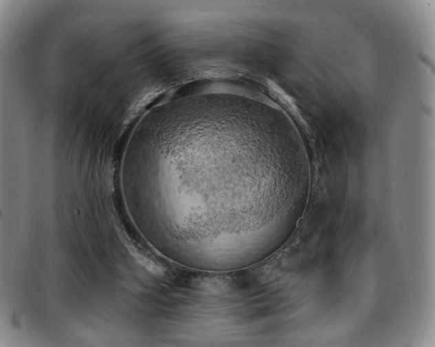 X0000097810106200803141127