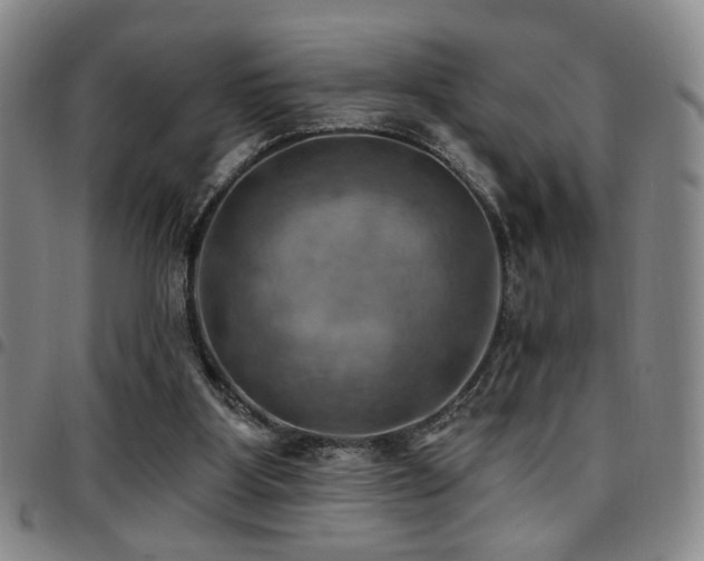 X0000097810107200803141127