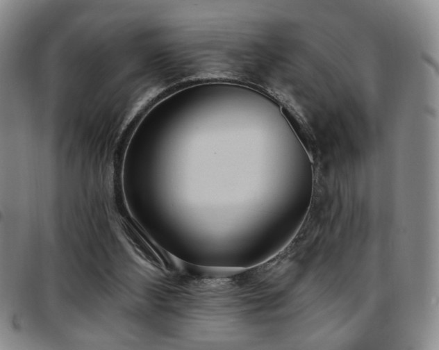 X0000097810108200803141127