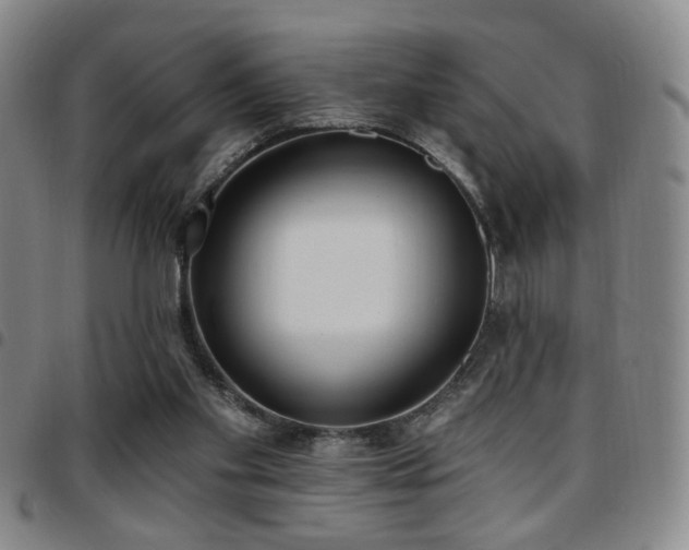 X0000097810109200803141127