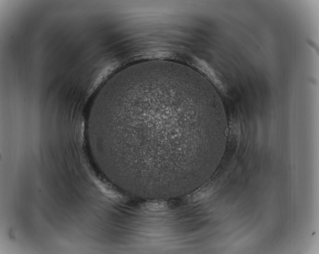X0000097810110200803141127