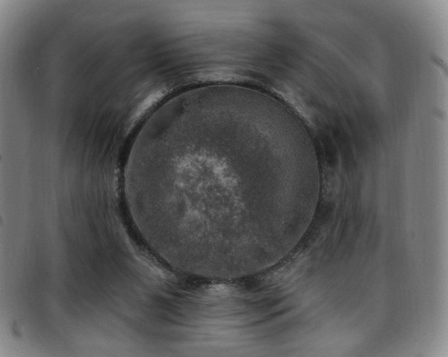 X0000097810111200803141127