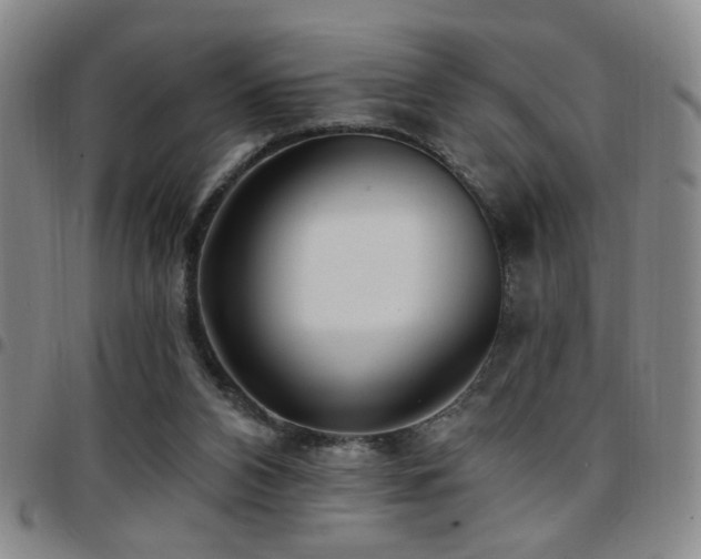 X0000097810112200803141127
