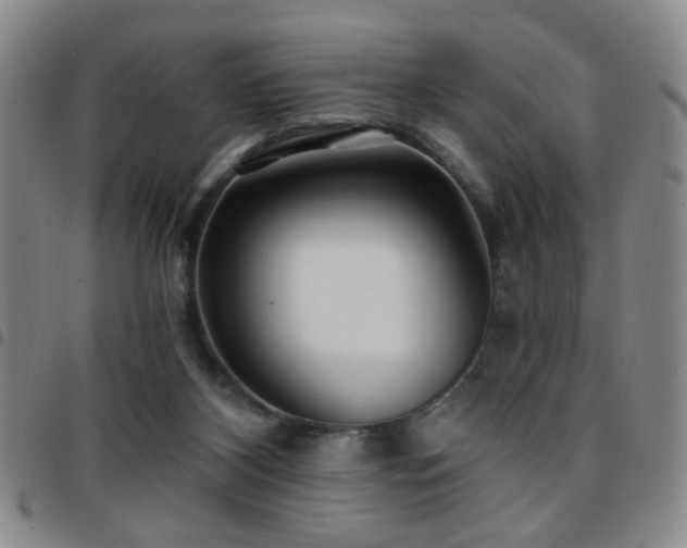 X0000097810116200803141127