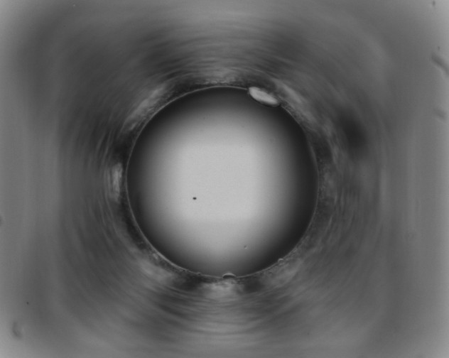 X0000097810118200803141127