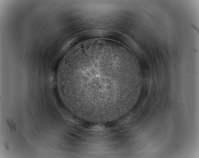 X0000097810119200803141127