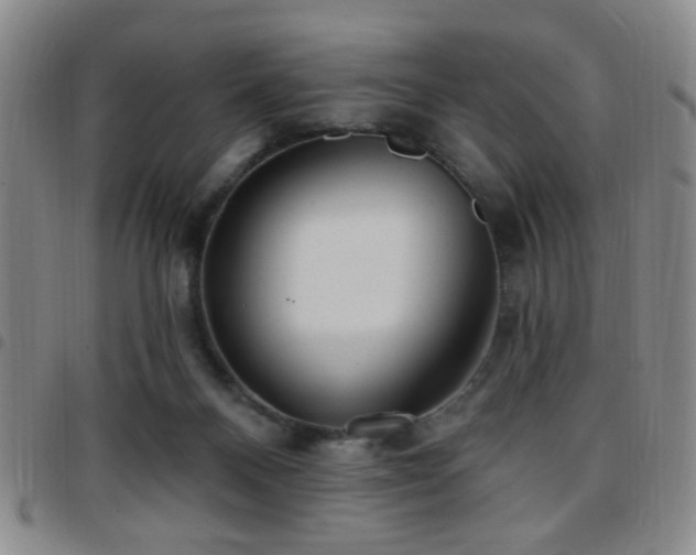 X0000097810120200803141127