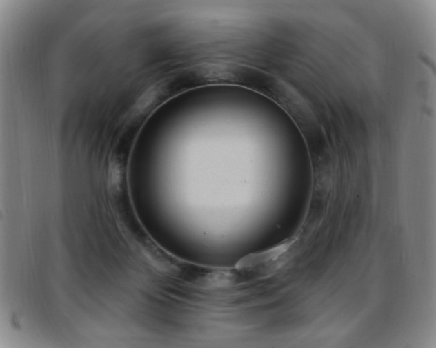 X0000097810124200803141127