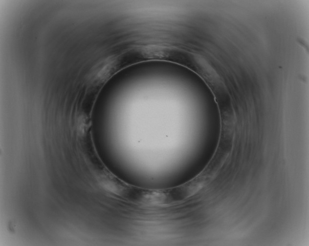 X0000097810125200803141127