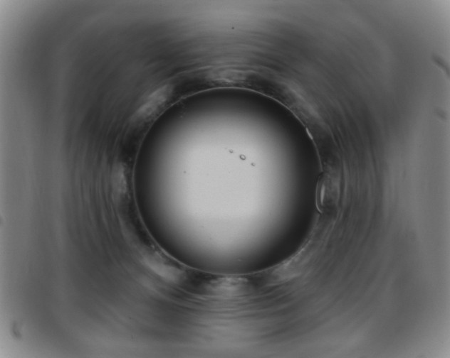 X0000097810128200803141127