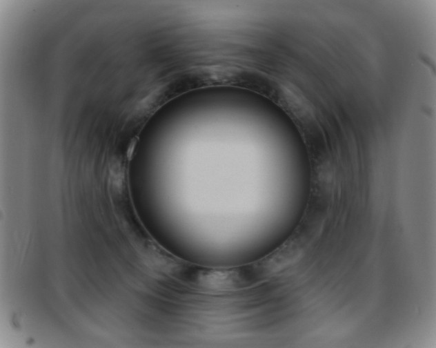 X0000097810129200803141127