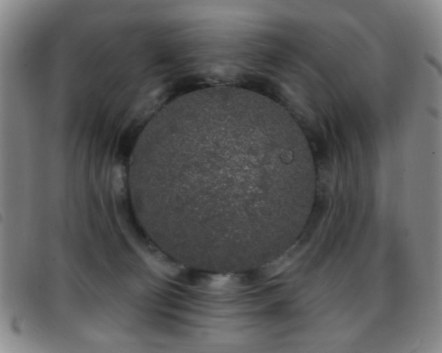 X0000097810130200803141127