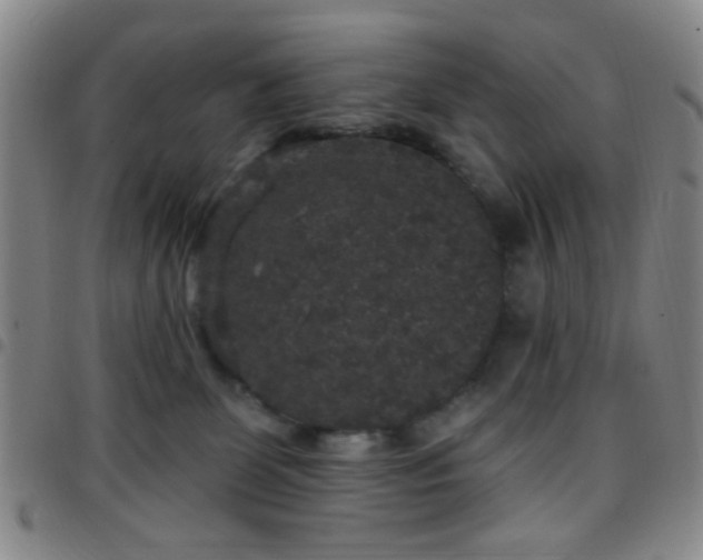X0000097810131200803141127