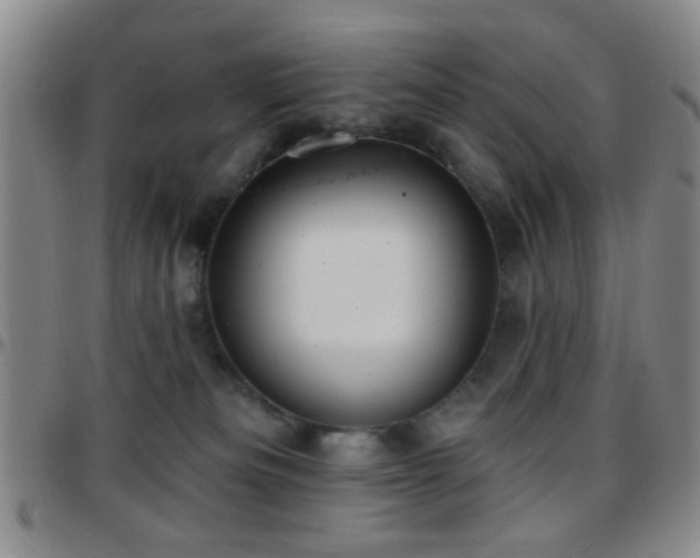 X0000097810133200803141127