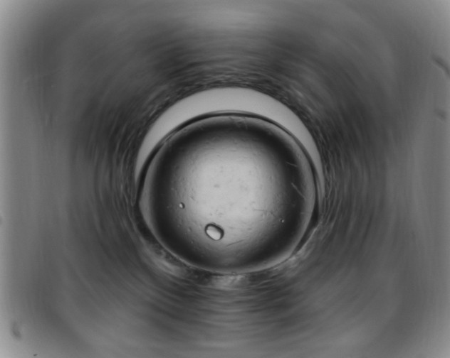 X0000097810136200803141127