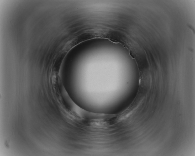 X0000097810137200803141127