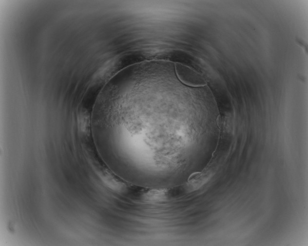 X0000097810138200803141127