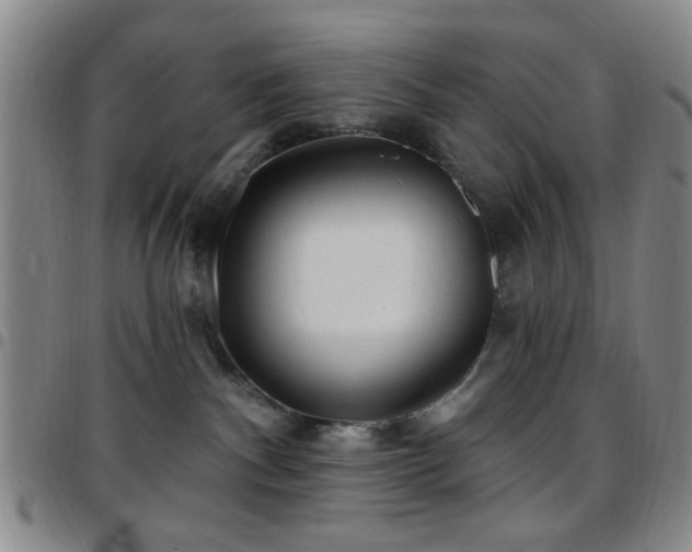 X0000097810140200803141127