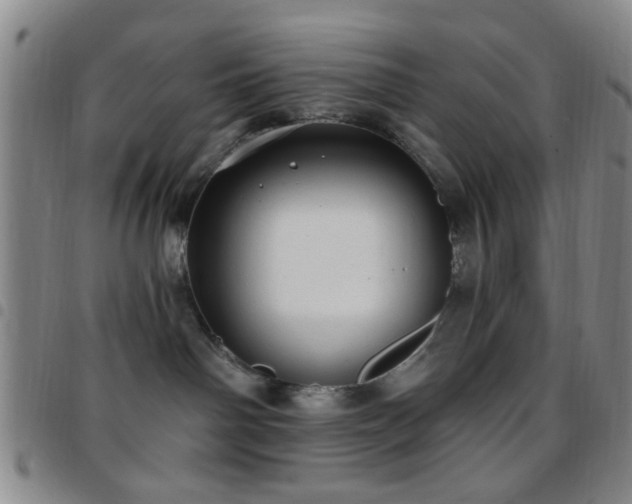 X0000097810142200803141127