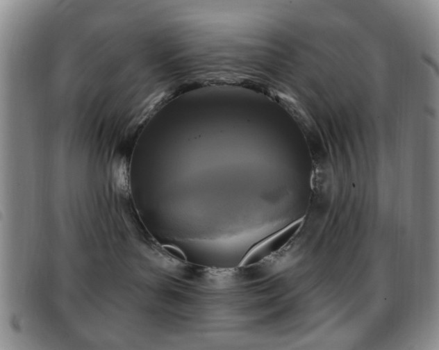 X0000097810143200803141127