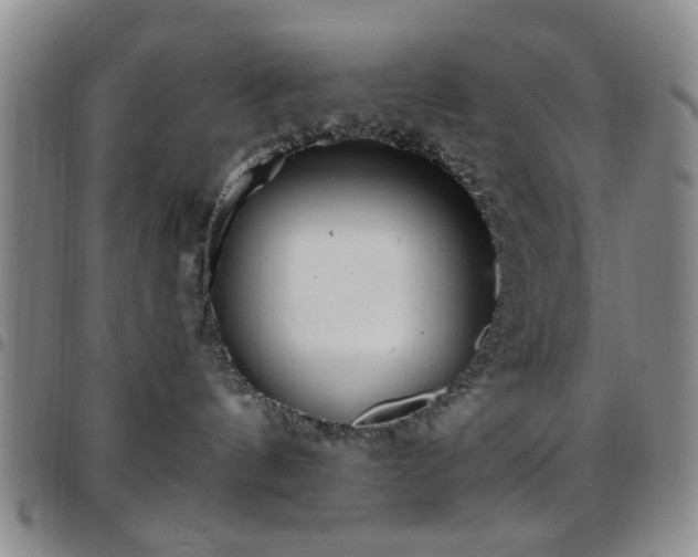 X0000097810144200803141127