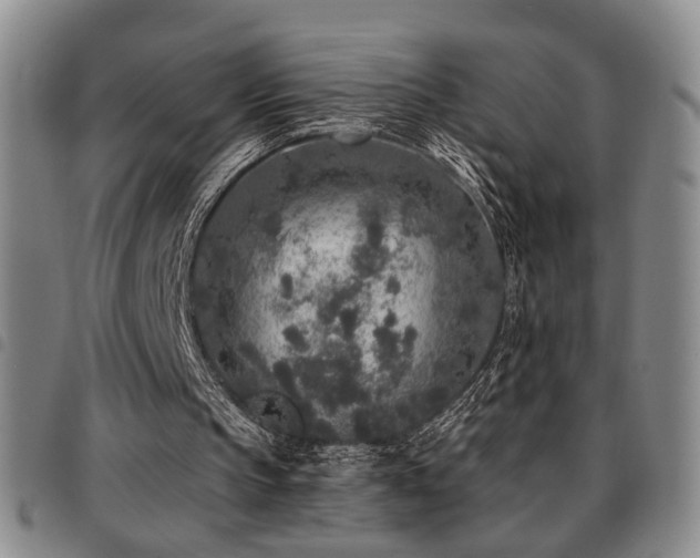 X0000097810145200803141126