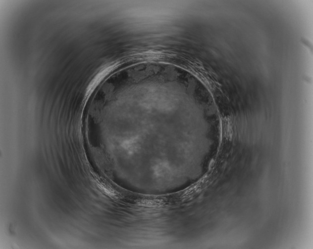 X0000097810147200803141126
