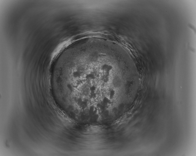 X0000097810149200803141126
