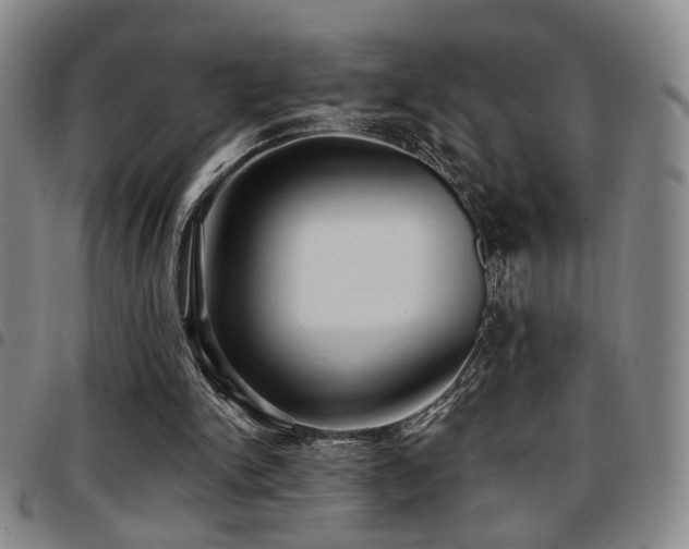 X0000097810150200803141126
