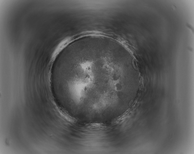 X0000097810151200803141126