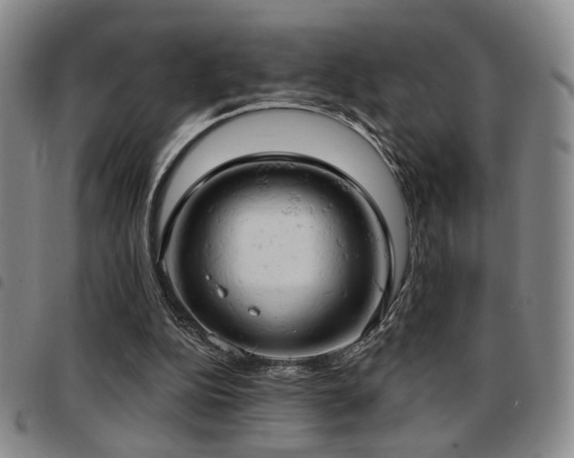 X0000097810152200803141126