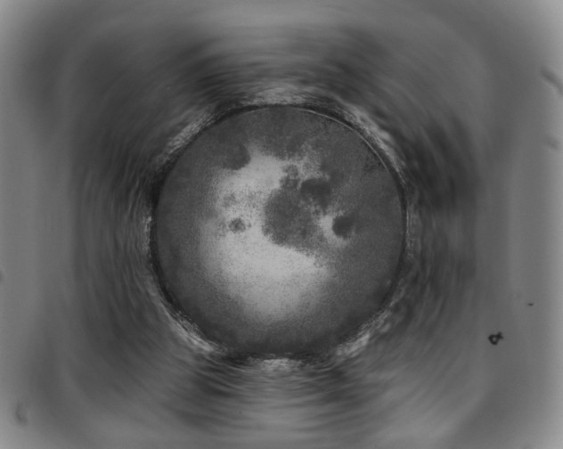 X0000097810153200803141126