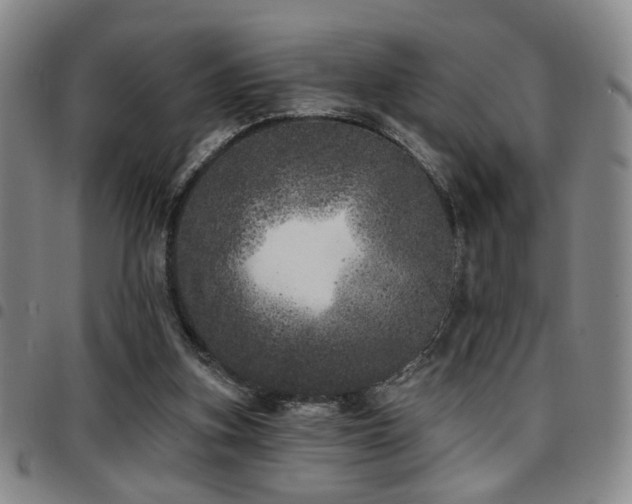 X0000097810155200803141126