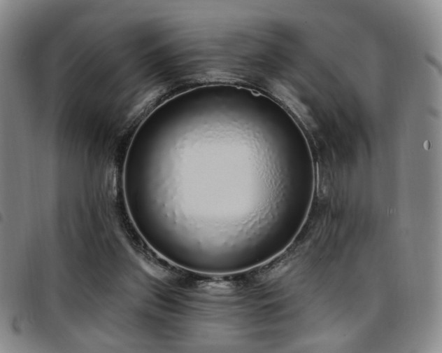 X0000097810157200803141126