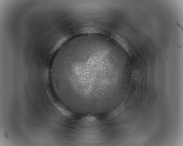 X0000097810159200803141126