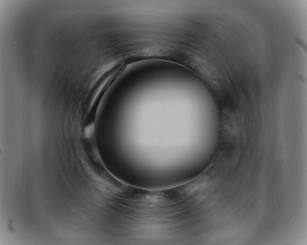X0000097810164200803141126