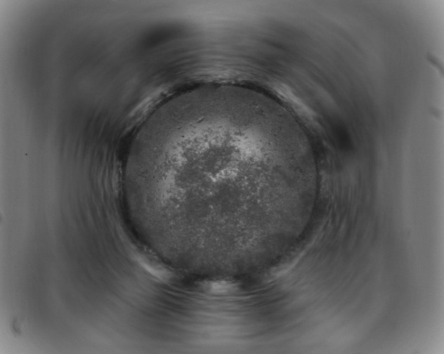 X0000097810165200803141126