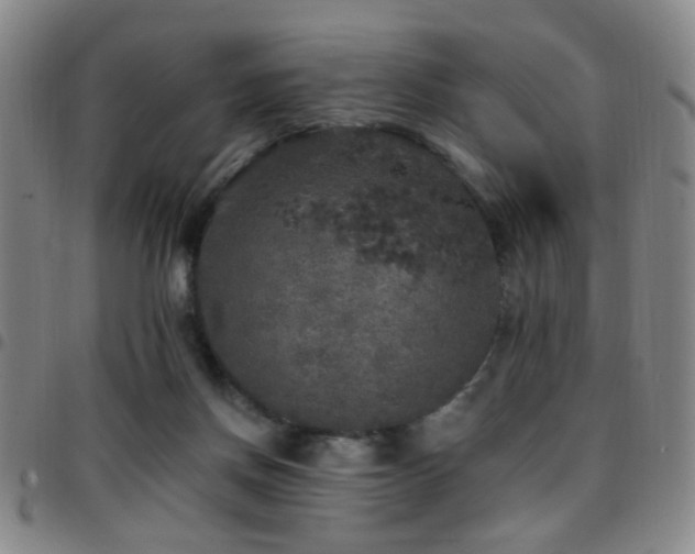 X0000097810166200803141126