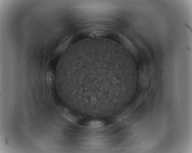 X0000097810169200803141126