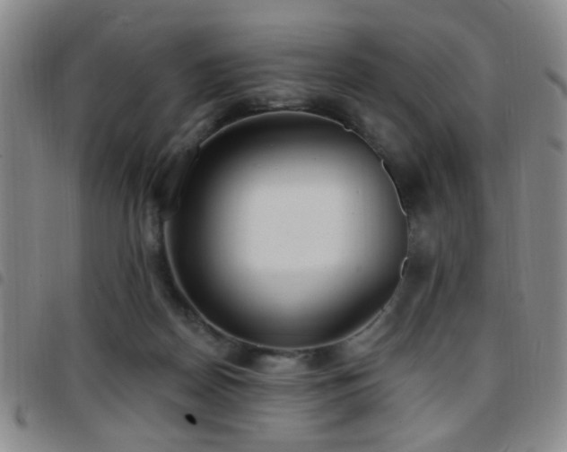 X0000097810170200803141126