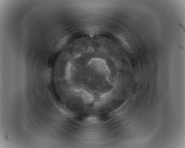 X0000097810171200803141126