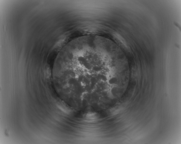 X0000097810173200803141126