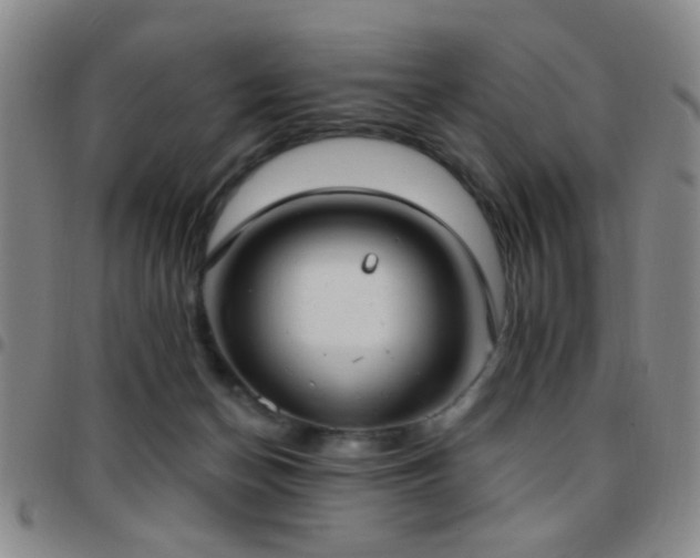 X0000097810174200803141126