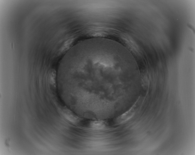 X0000097810175200803141126