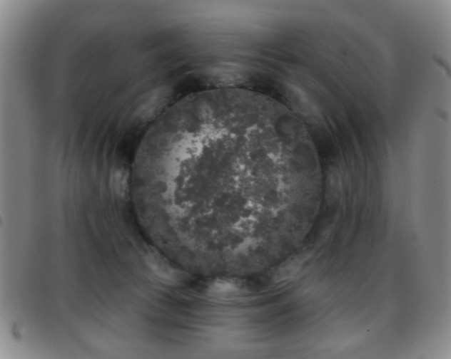X0000097810177200803141126