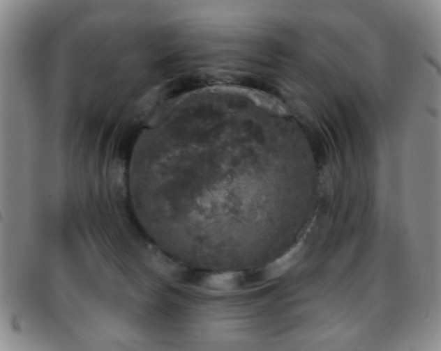 X0000097810178200803141126
